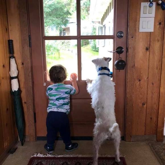 Meet your Posher, Kristina - Picture 1 of 1